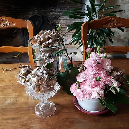 D'hotes Du Tilleul Bed & Breakfast Nanteuil-en-Vallée