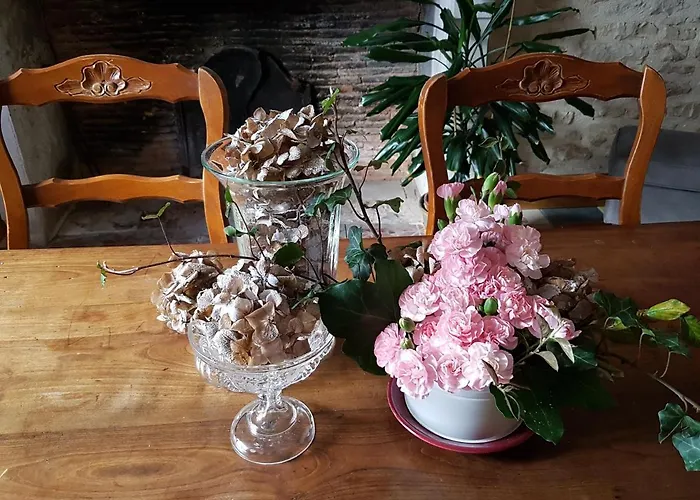 D'hotes Du Tilleul Bed & Breakfast Nanteuil-en-Vallee