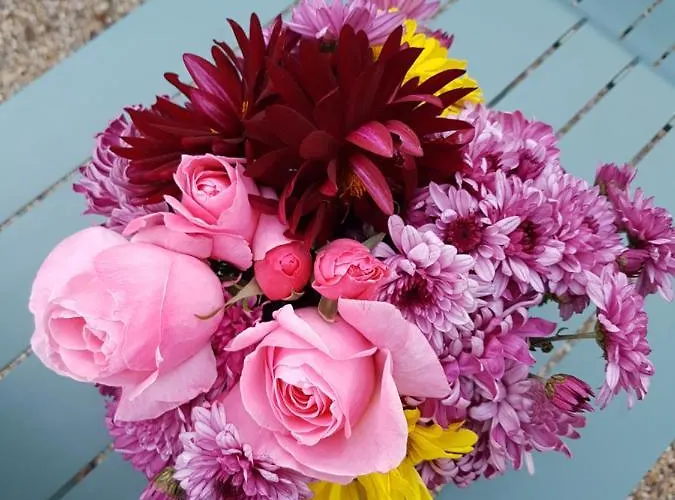 D'hotes Du Tilleul 3* Nanteuil-en-Vallee